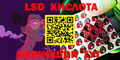 ПСИЛОЦИБИНОВЫЕ ГРИБЫ Гусь-Хрустальный