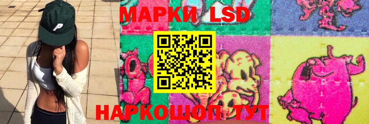 Зима  LSD-25 экстази кислота  Вход с VPN 
