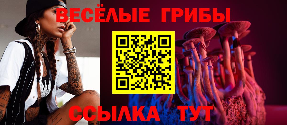 Псилоцибиновые грибы MAGIC MUSHROOMS  Псилоцибиновые грибы мицелий  Вход с VPN  Зима 